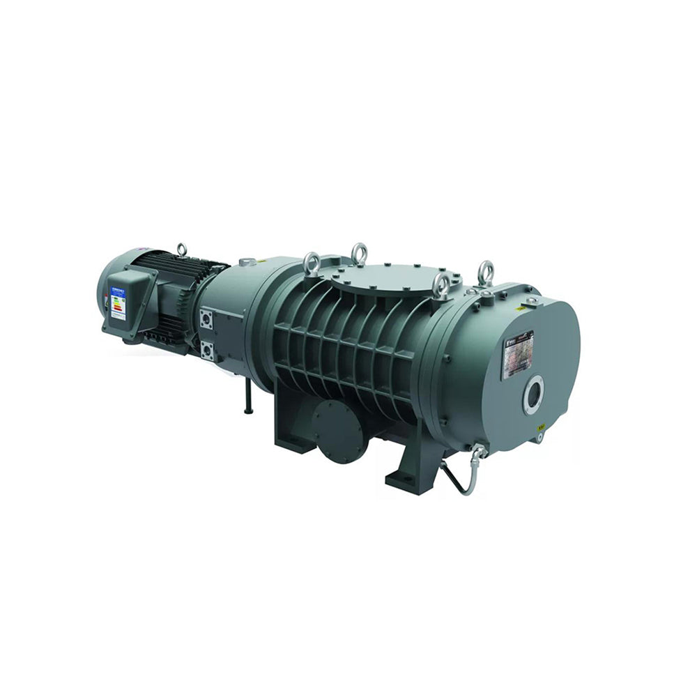 ROOTS VACUUM PUMP